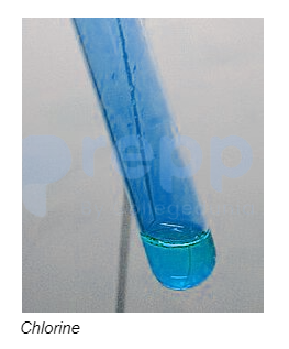 Chlorine gas used in preparation of bleaching powder