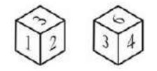Dice Visualization and Spatial Reasoning