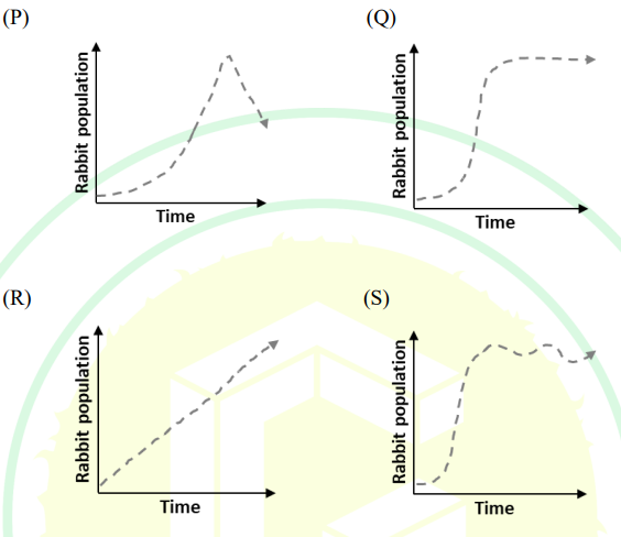 Wild Rabbit Graph If rabbits are introduced in an isolated grassland