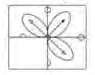Q21 question figure