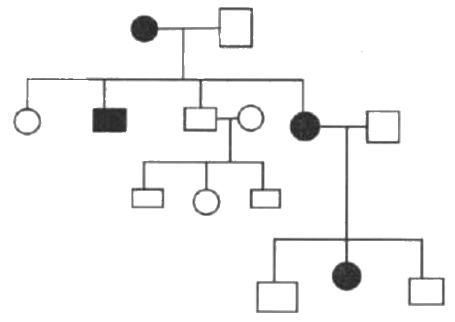Pedigree chart over three generations