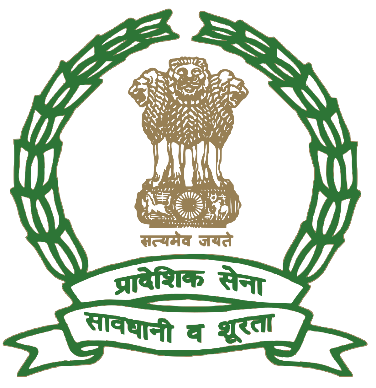 Territorial Army img